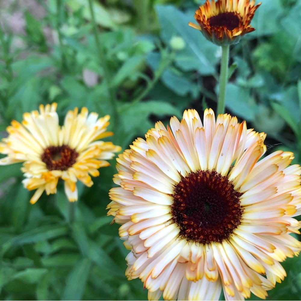 Hello! Thanks for visiting!